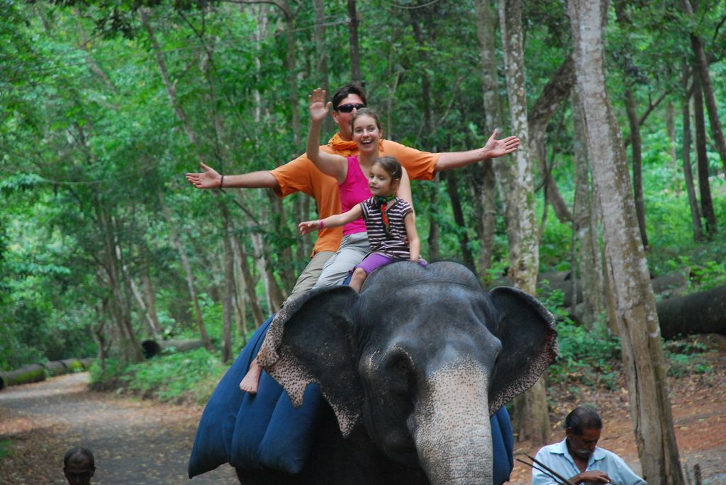 Indiai elefánt - 42