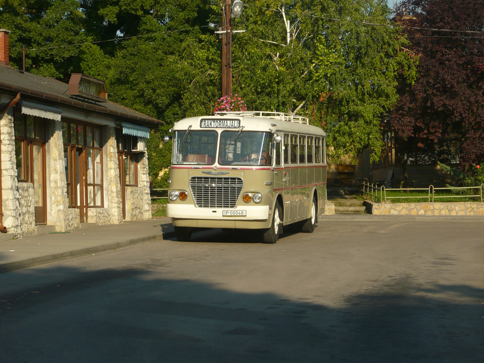 Ikarus 630