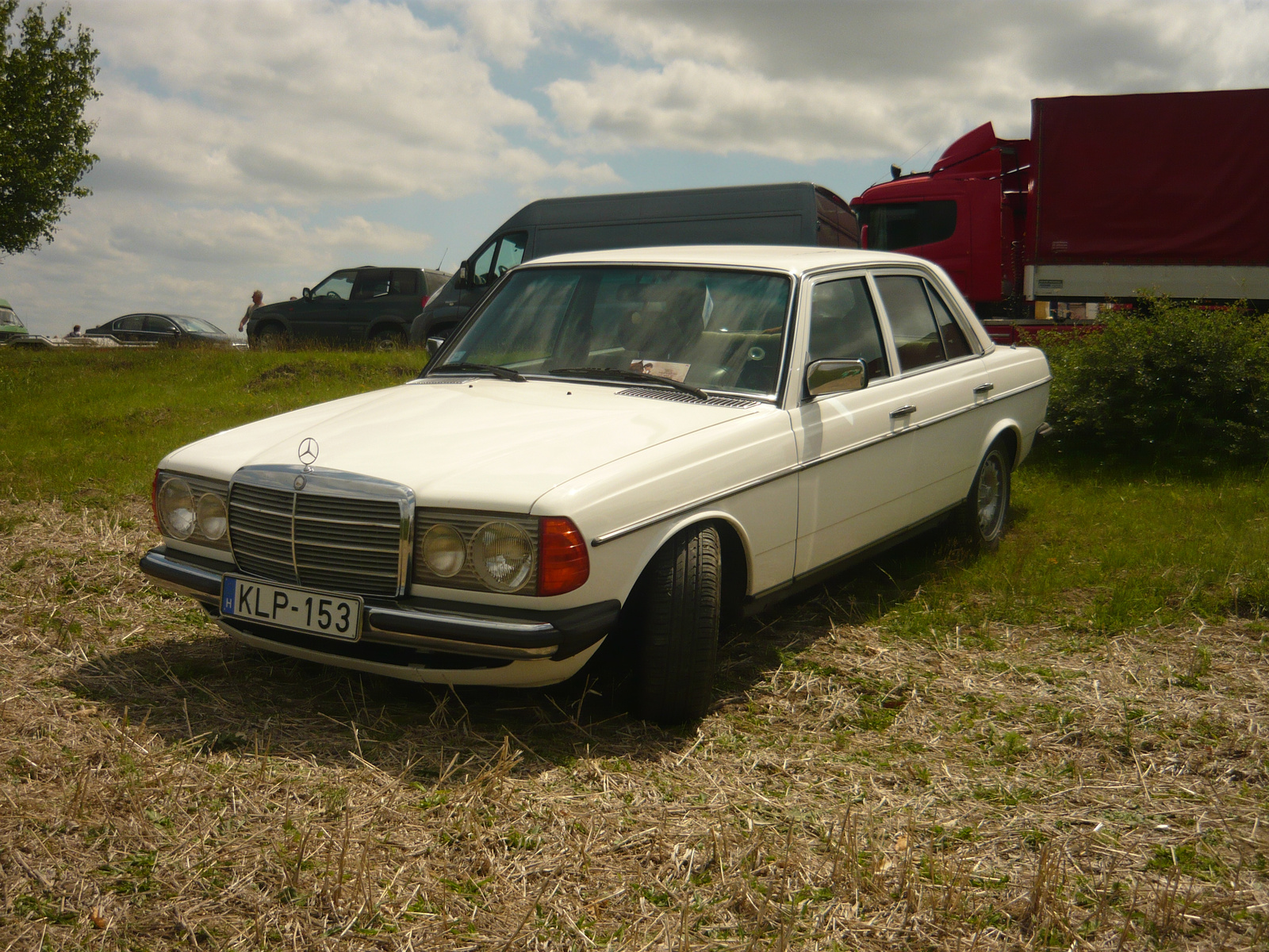 Mercedes-Benz W123