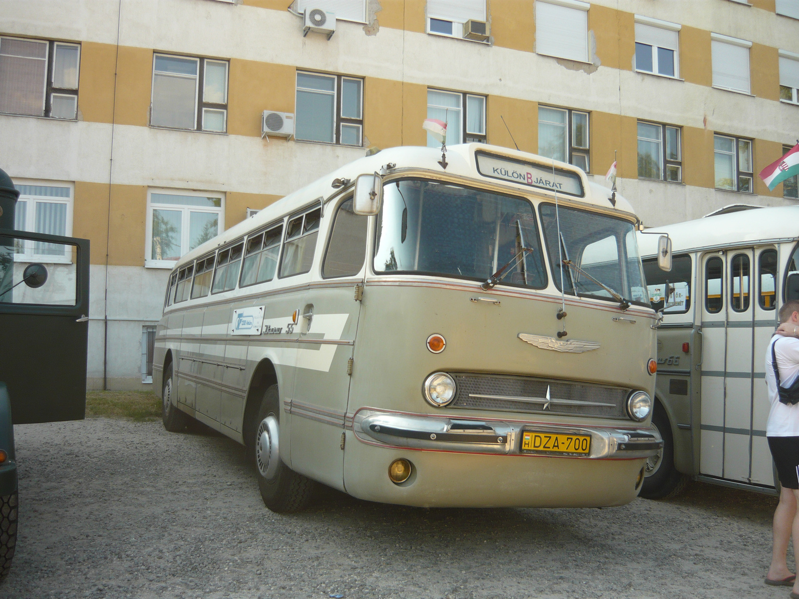 Ikarus 55 (DZA-700)