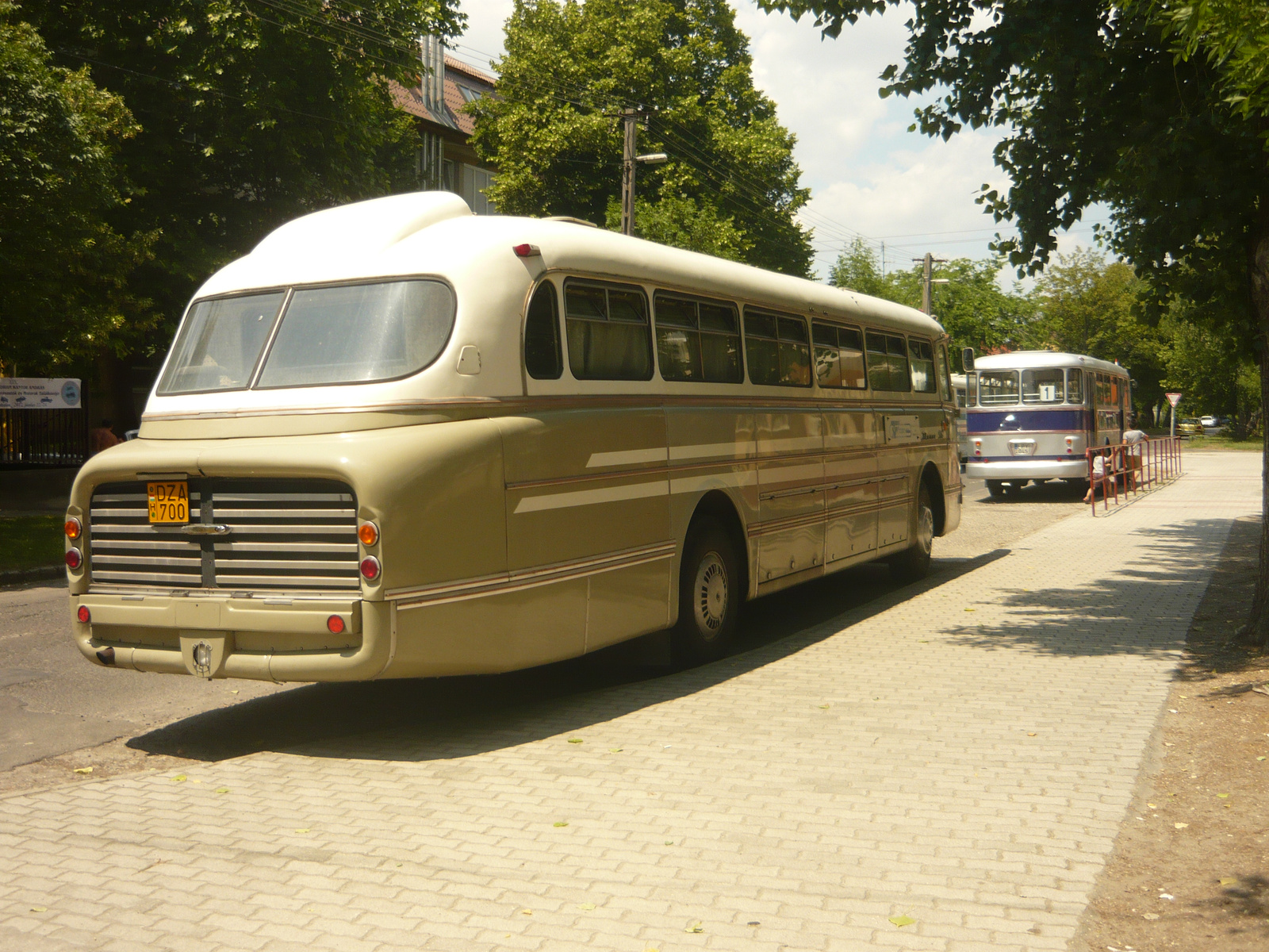 Ikarus 55 (DZA-700)