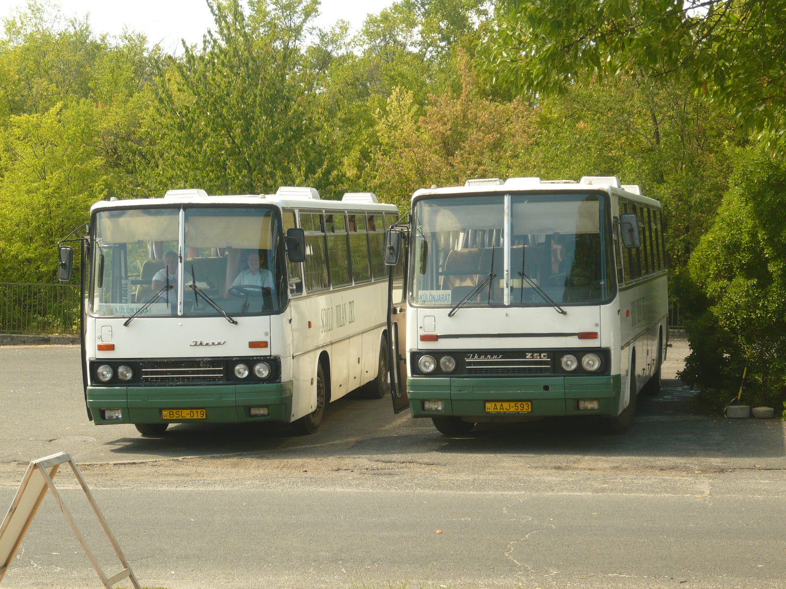 Ikarus 256 és Ikarus 250