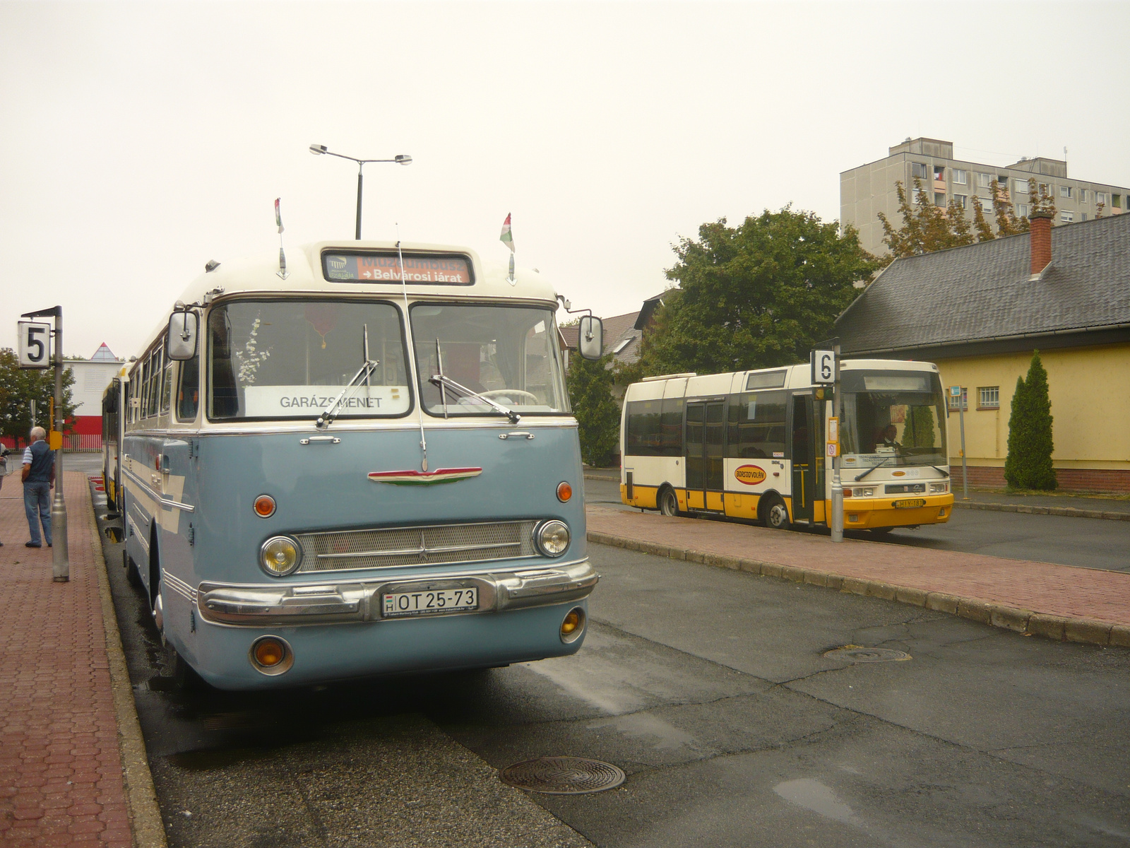 Ikarus 55 (OT 25-73)