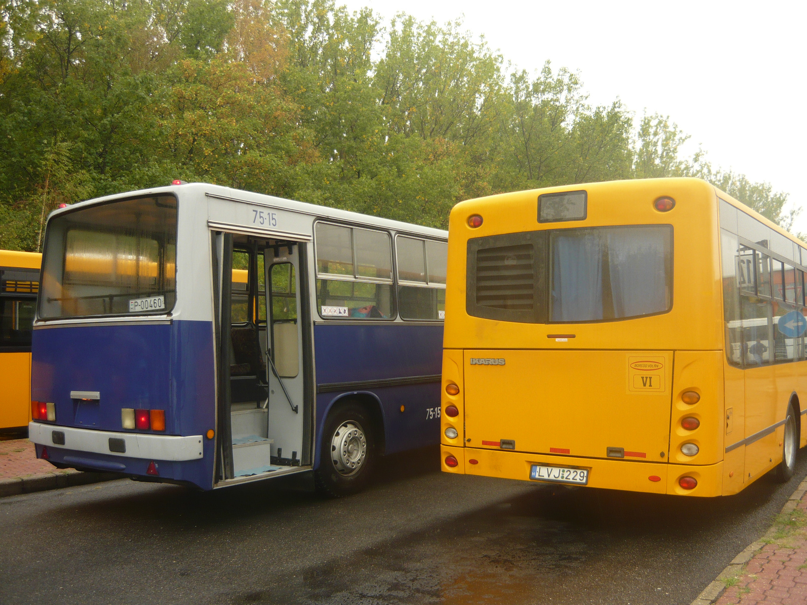 Ikarus 280 és Ikarus V134