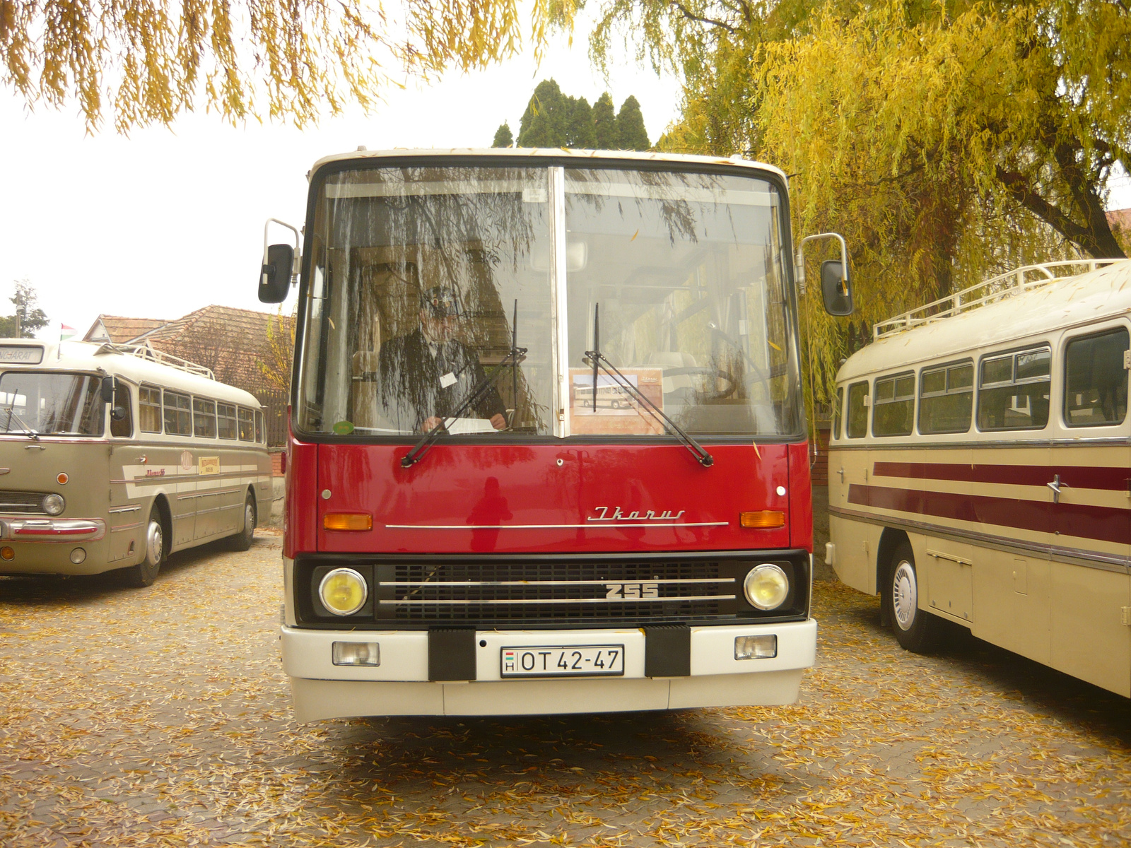 Ikarus 255 (OT 42-47)