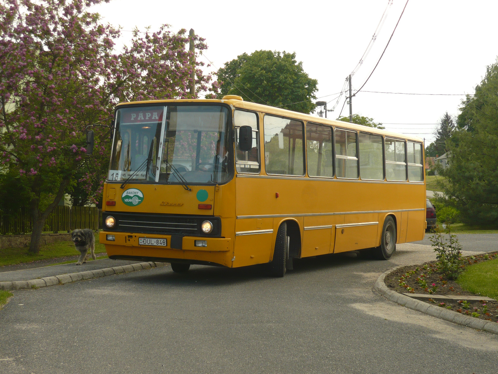 Ikarus 260.02 (DUL-848)