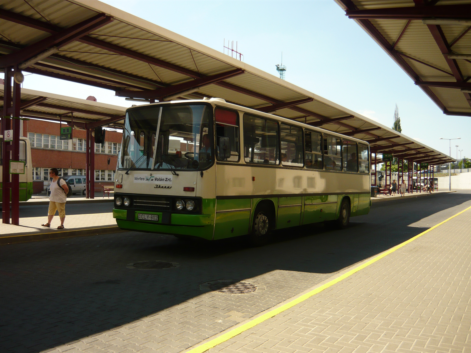 Ikarus 260.02 (CLY-802)