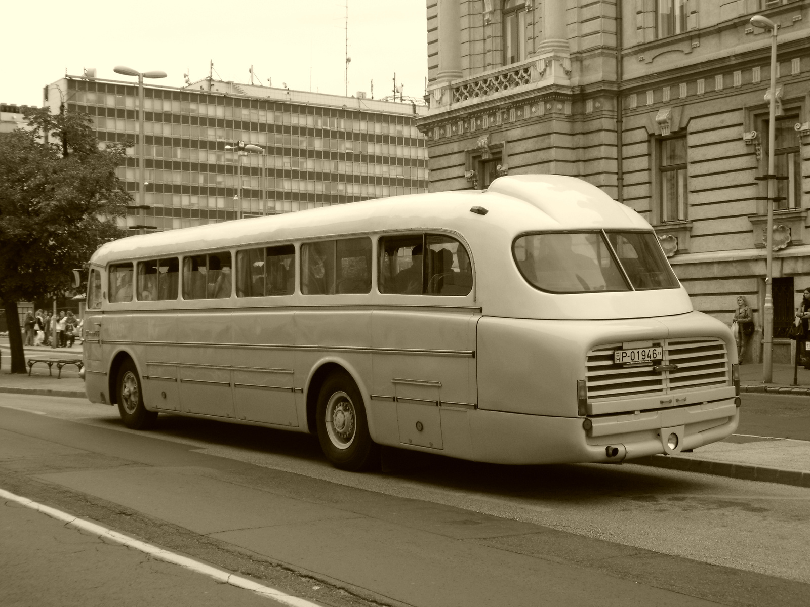 Ikarus 55