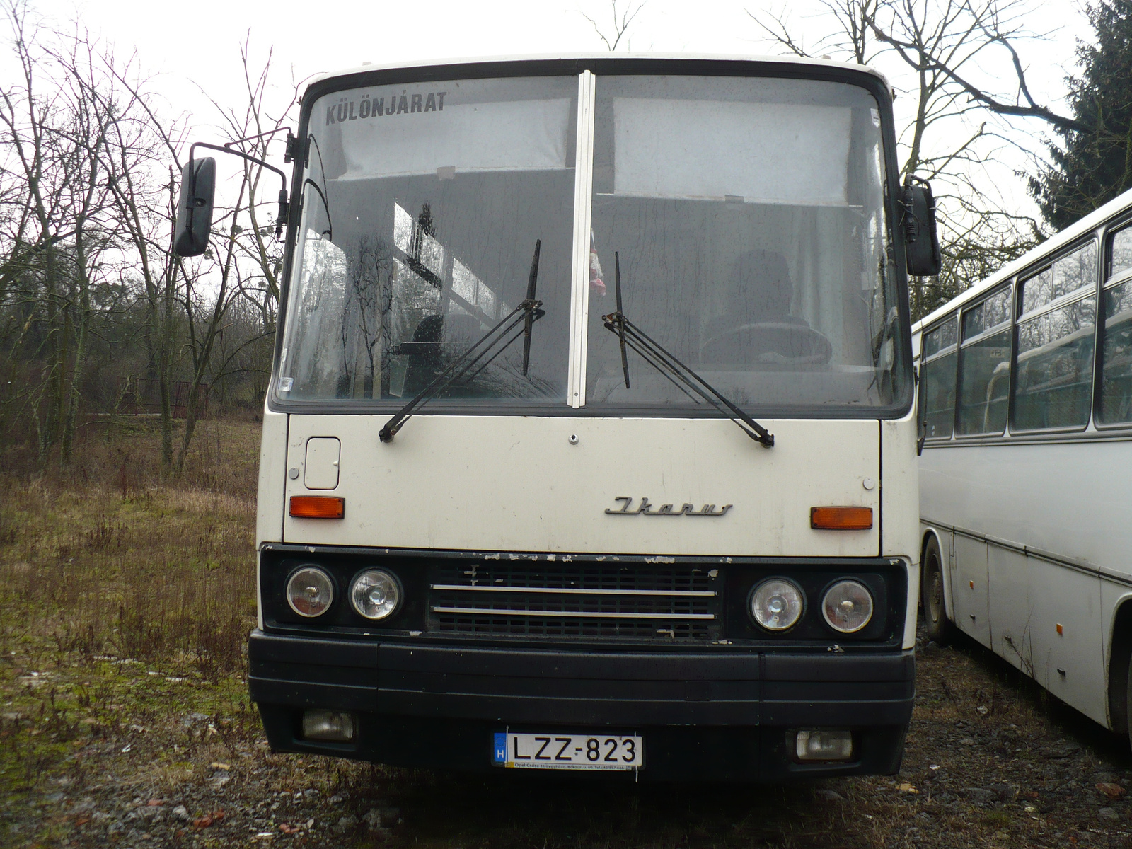 Ikarus 256 (LZZ-823)