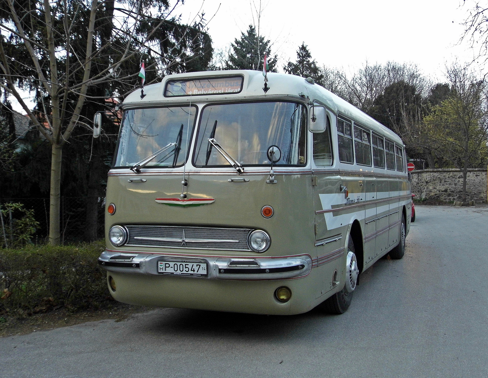 Ikarus 55