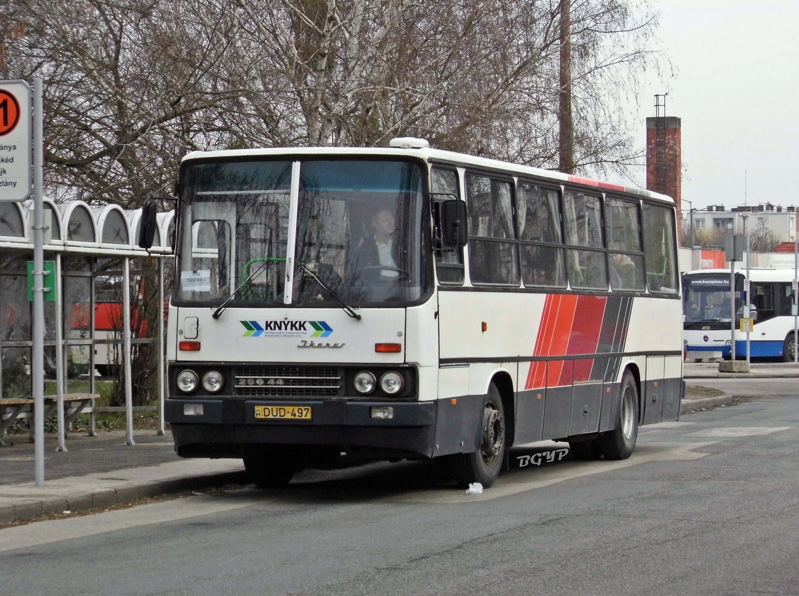 Ikarus 256.44 (DUD-497)