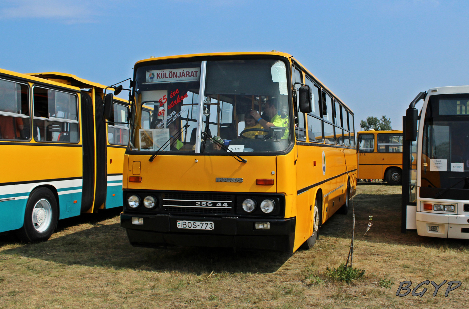 Ikarus 256.44 (BOS-773)