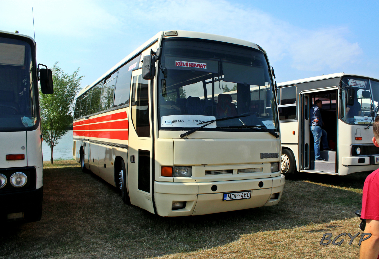 Ikarus 396.81 (MDP-460)