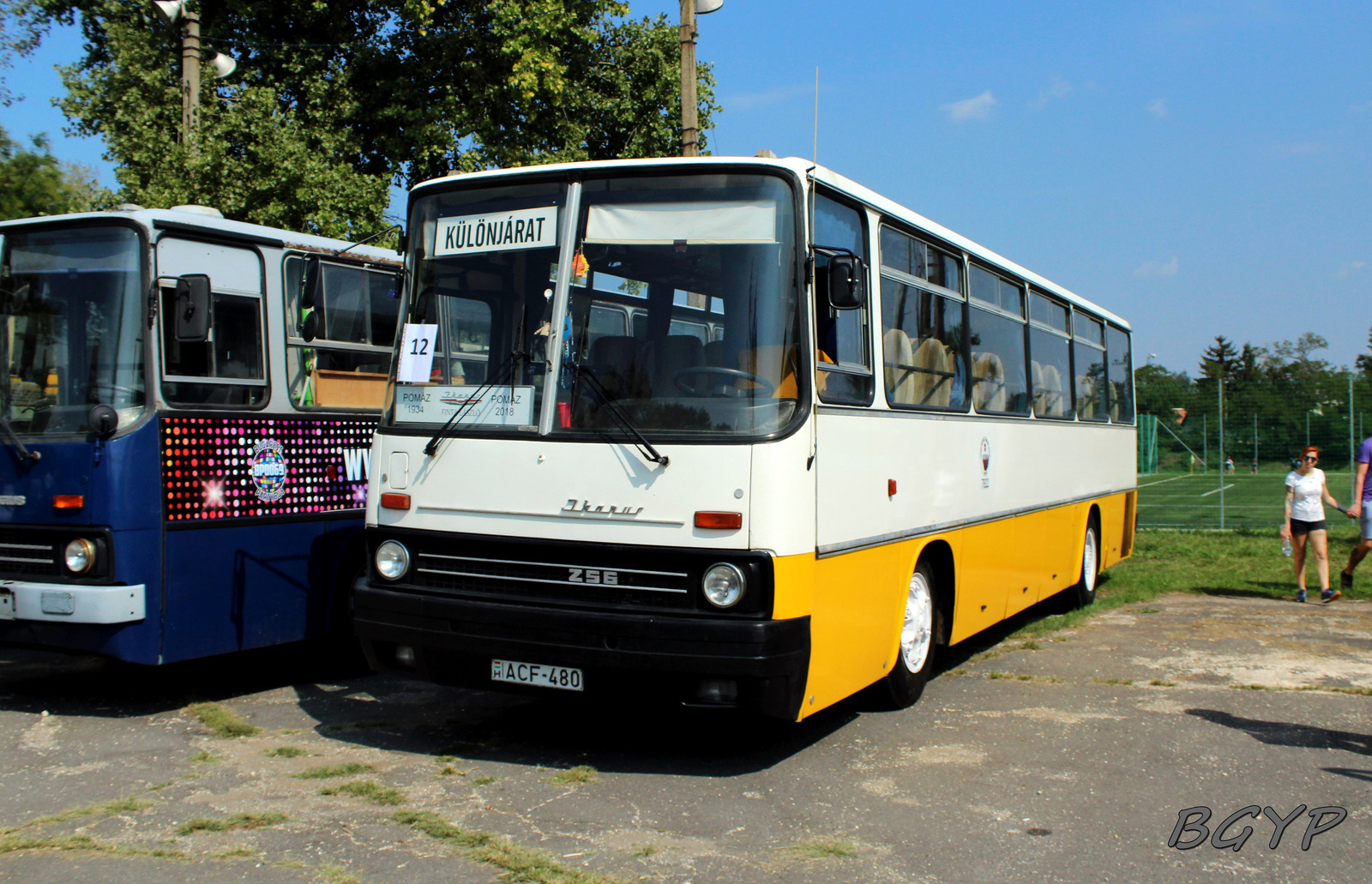 Ikarus 256.50E (ACF-480)