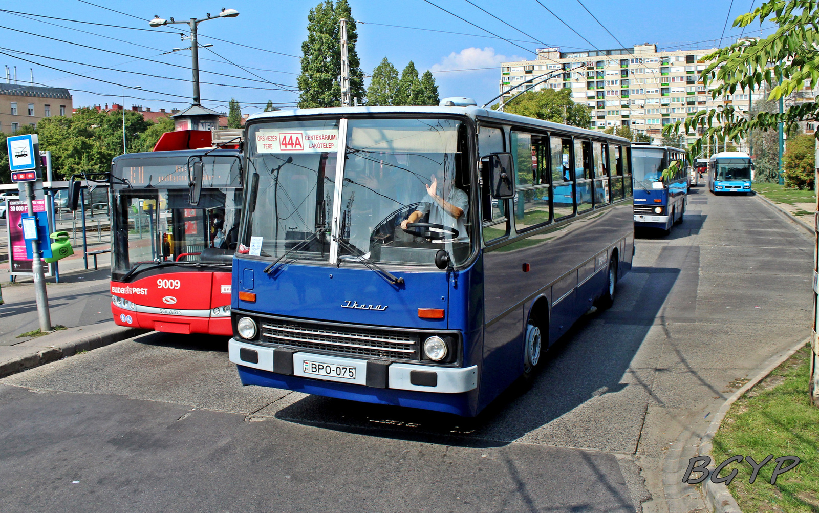 Ikarus 260.46 (BPO-075)