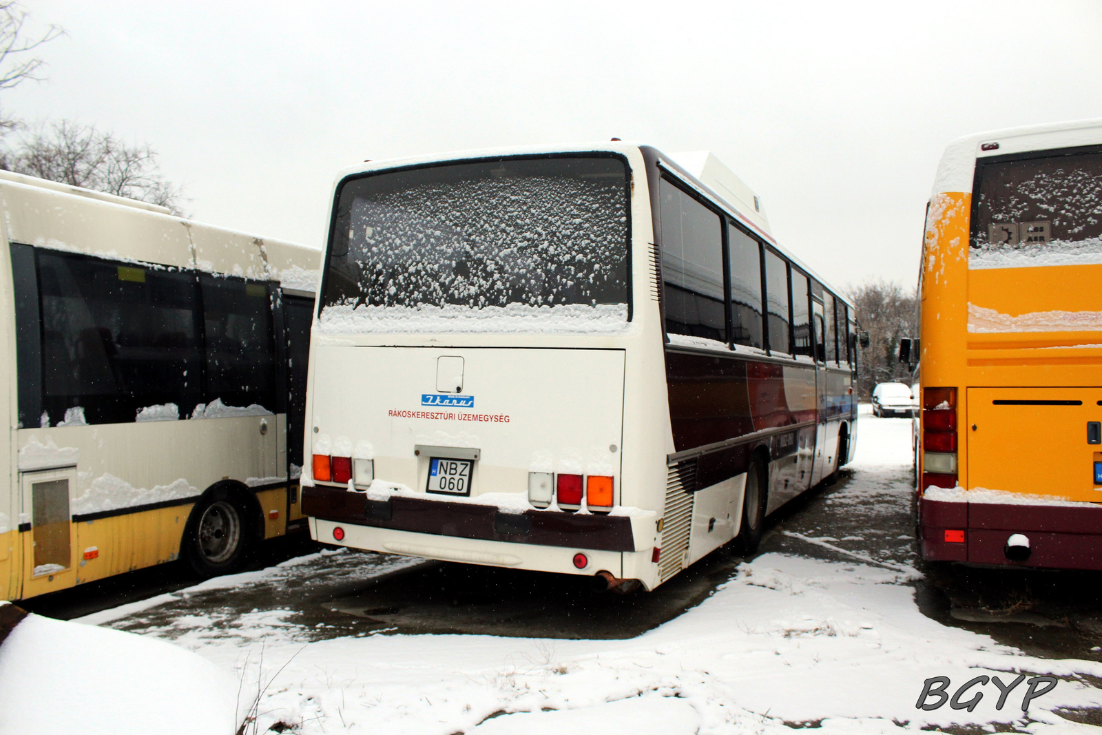 Ikarus 250.66 (NBZ-060)