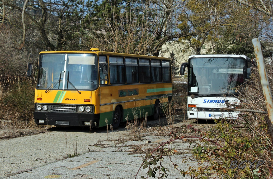 Ikarus 256.50E (MHZ-380)