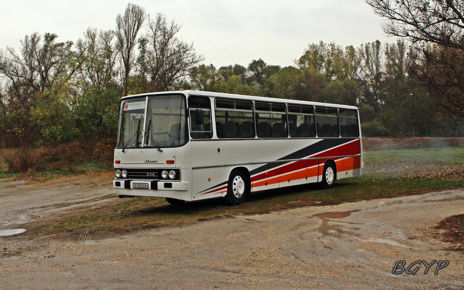 Ikarus 256.50VL (P-00333)