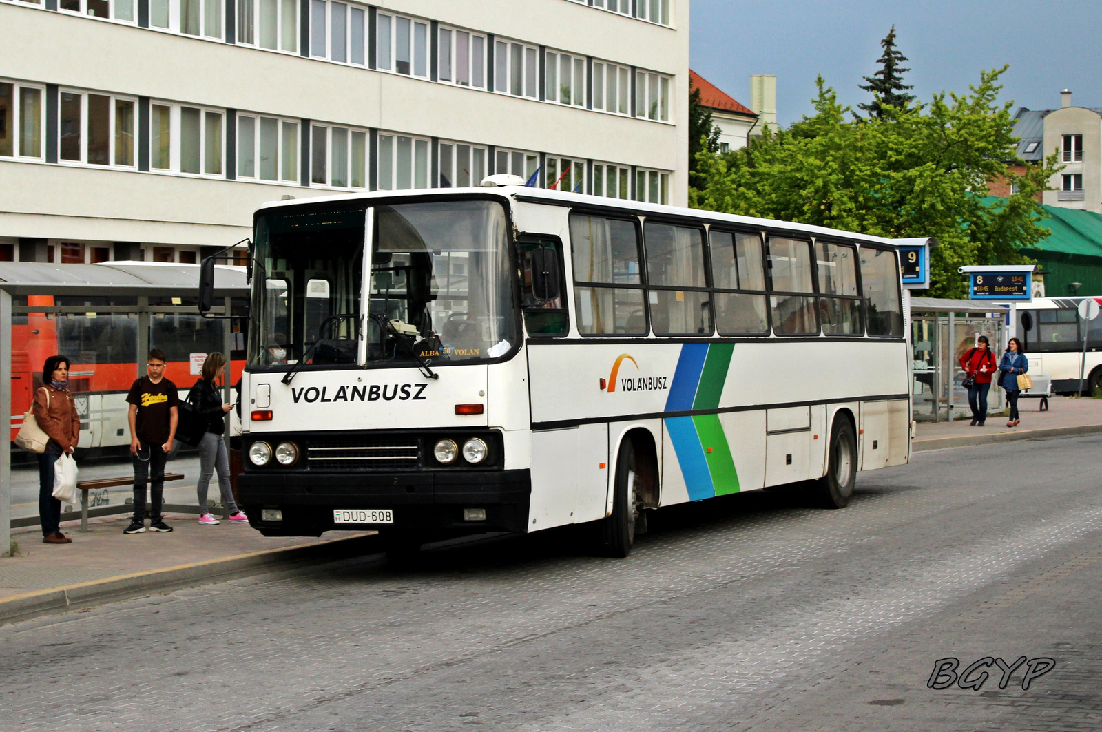 Ikarus 256.42 (DUD-608)