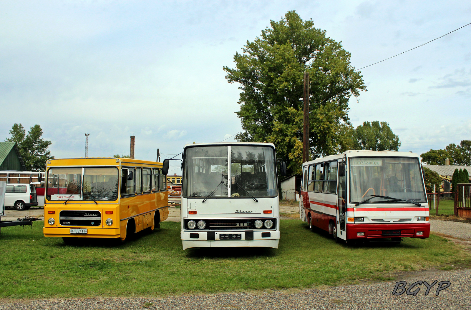 Ikarus 256.50VL (CLH-572)