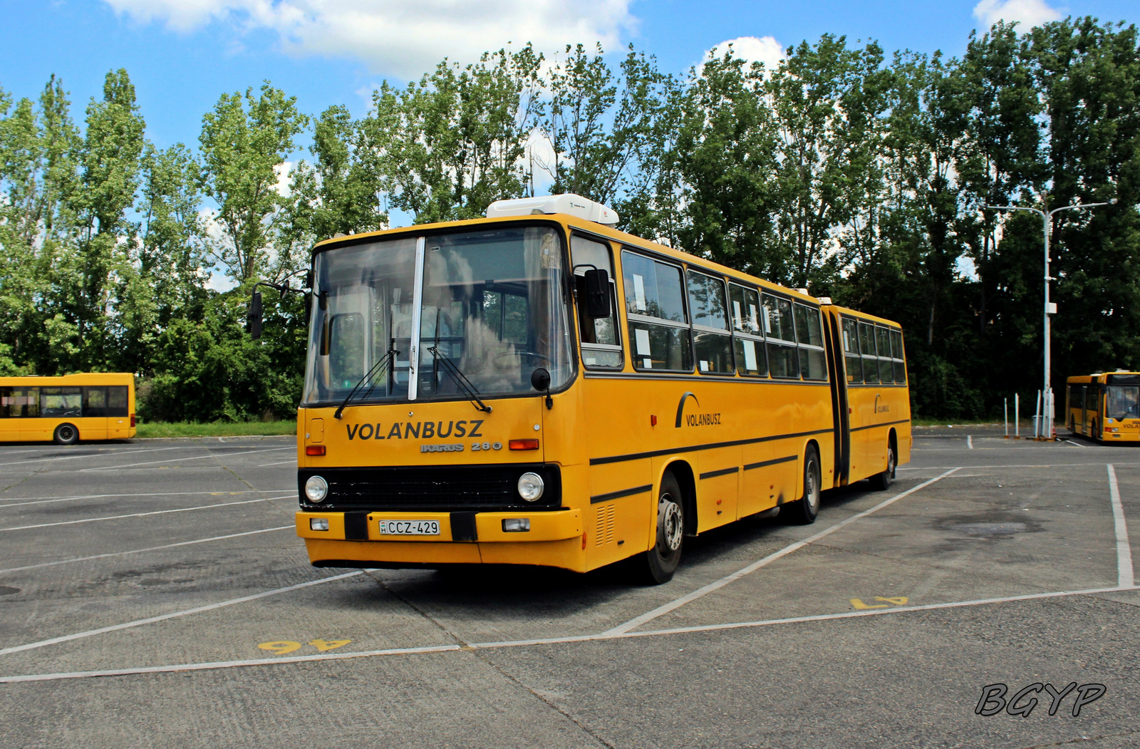 Ikarus 280.52 (CCZ-429)