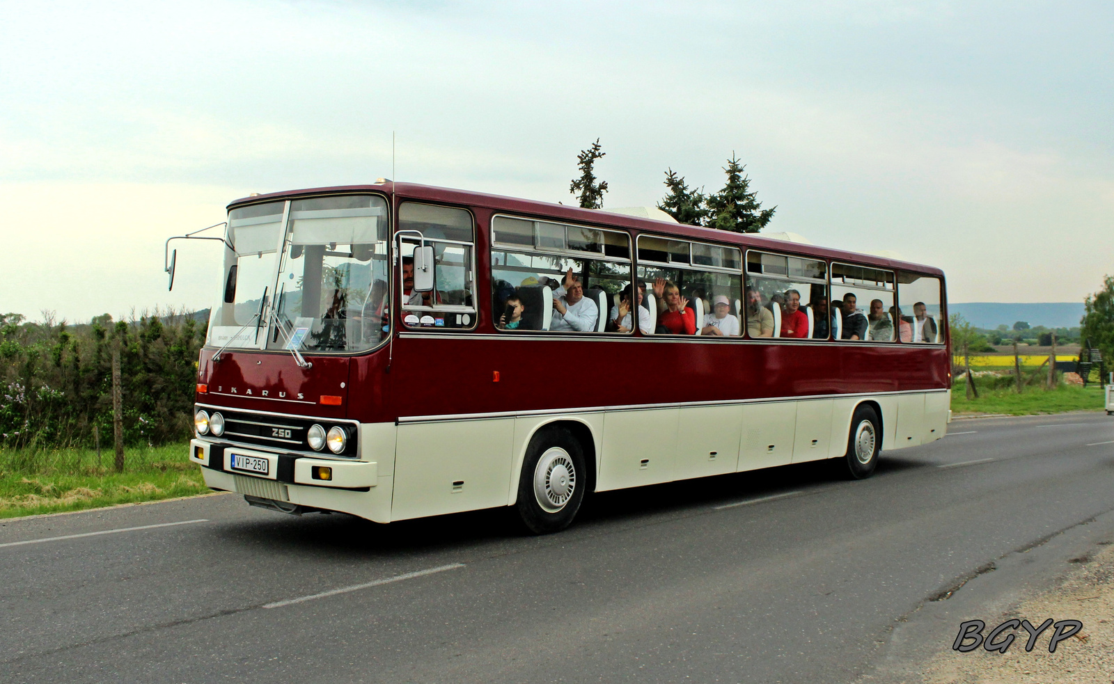 Ikarus 250.01 (VIP-250)