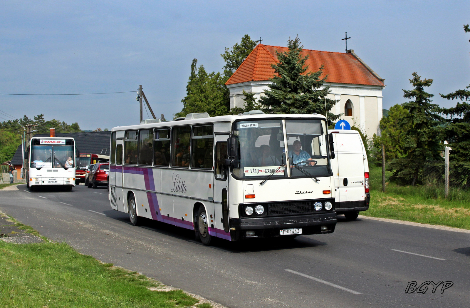 Ikarus 250.59 (P-01442)
