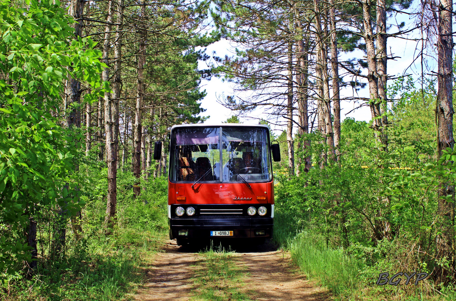 Ikarus 256.50E (I-09BJ)