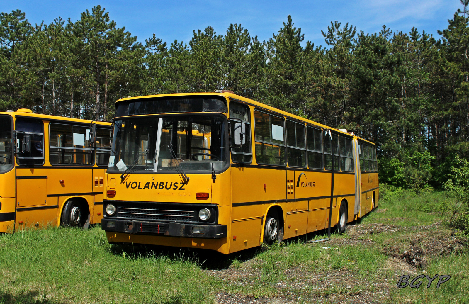 Ikarus 280.30M (DUD-868)