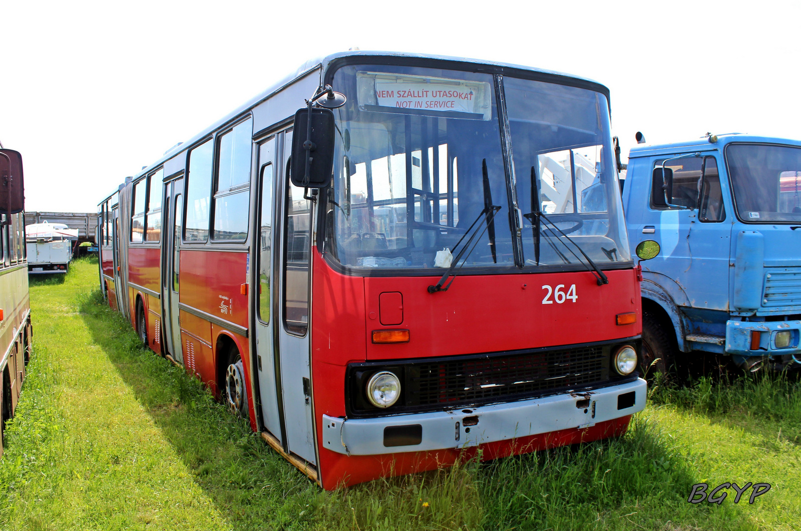 Ikarus 280.94T (264)