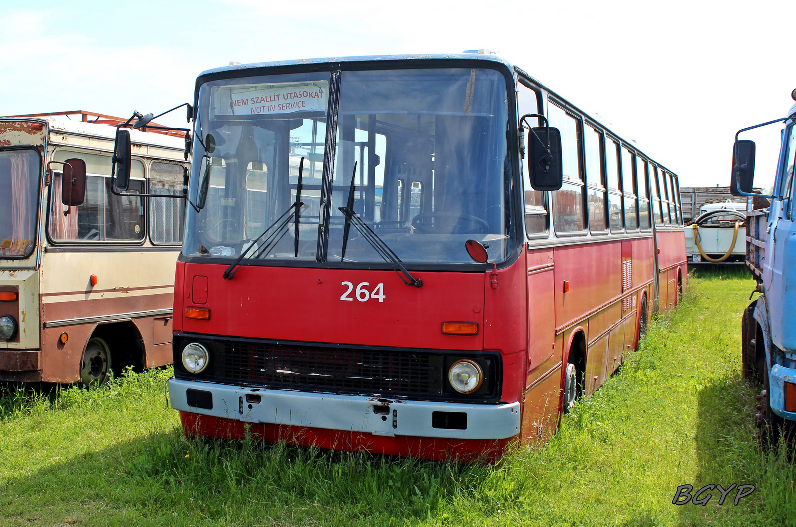 Ikarus 280.94T (264)