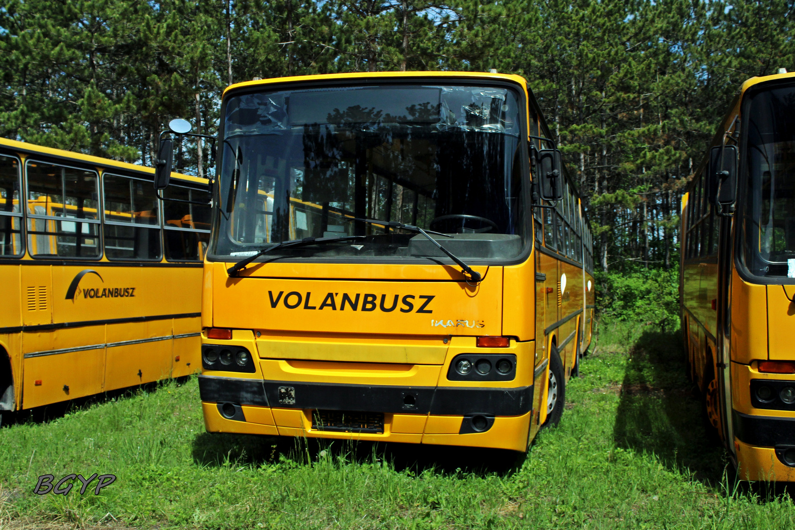 Ikarus C80.30A (GXW-237)