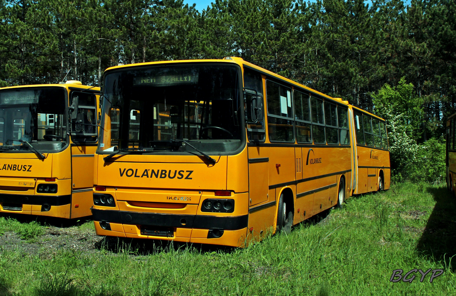 Ikarus C80.30A (FLR-779)