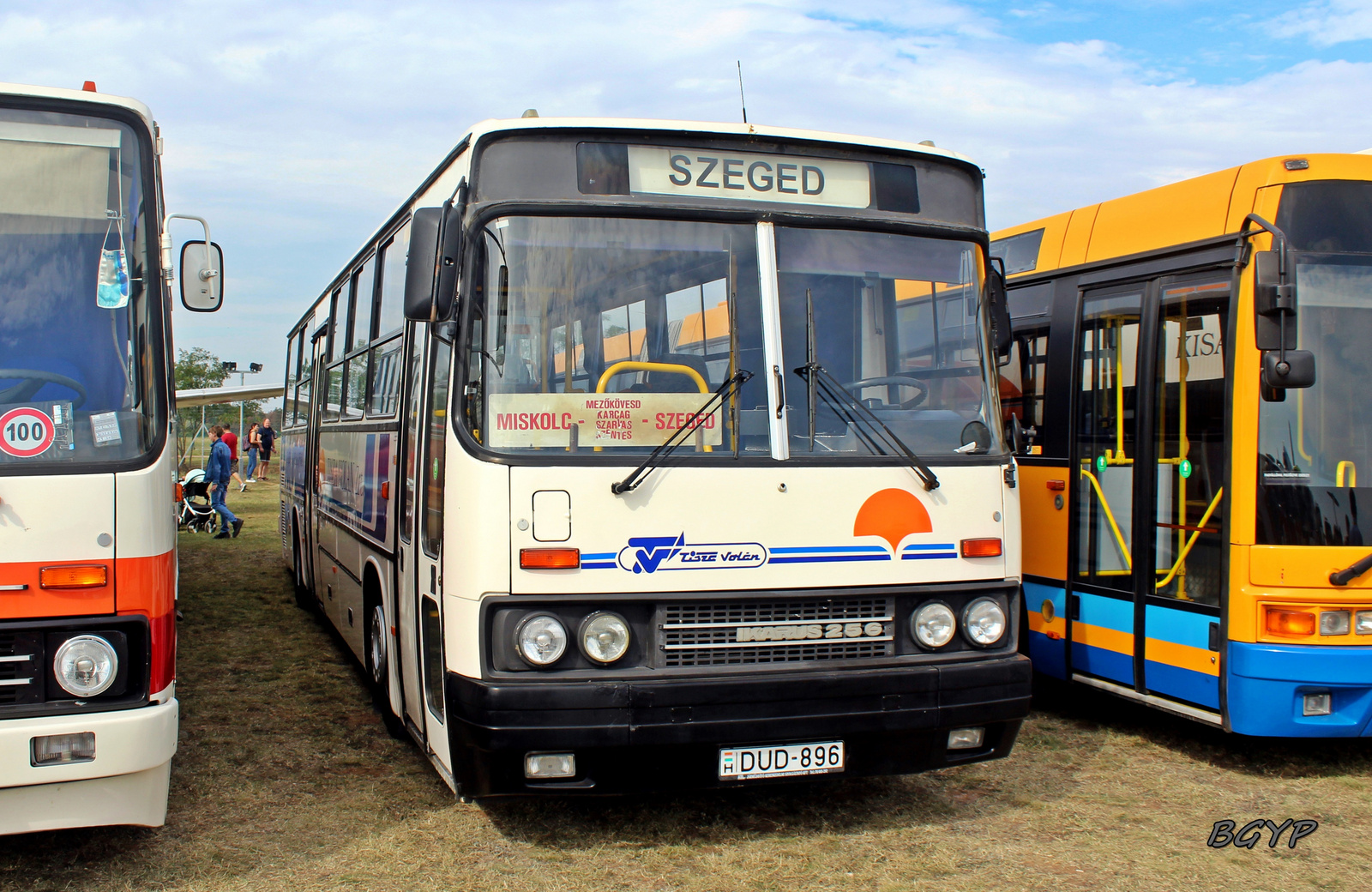 Ikarus 256.42 (DUD-896)