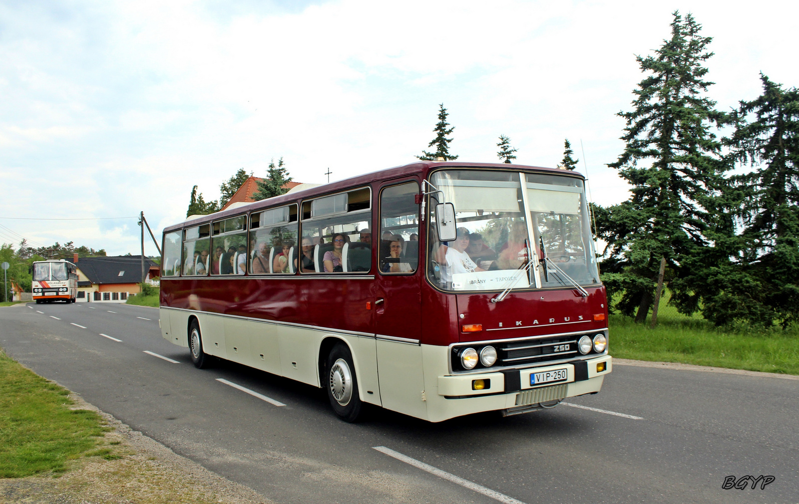 Ikarus 250.01 (VIP-250)