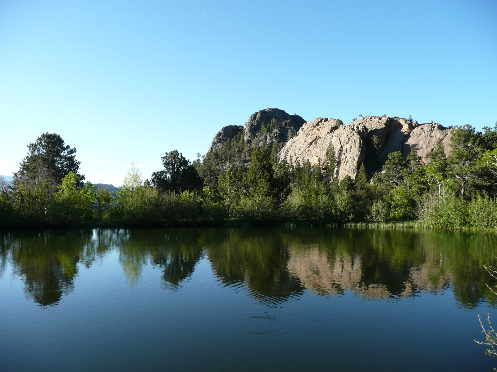 lil' pond in the camp