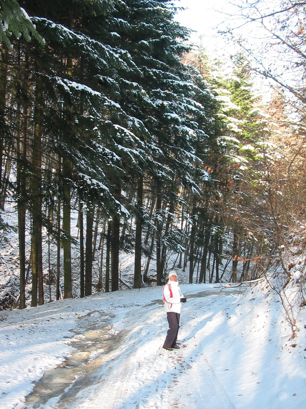 2010 12 30 zengő 020