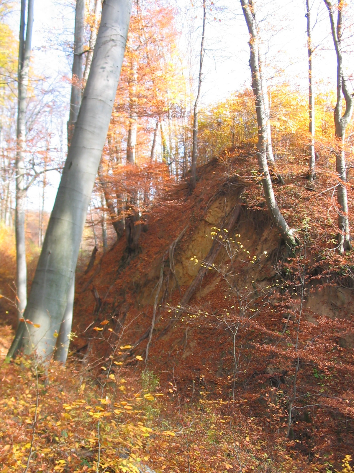 2011 11 08 Orfű-Istenkút 001