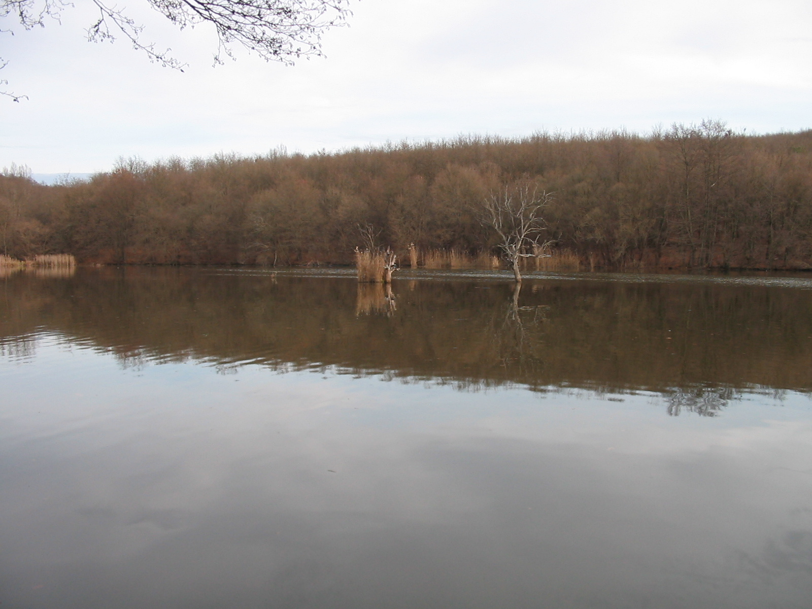 2011 12 09 Tekeres-Orfű 019