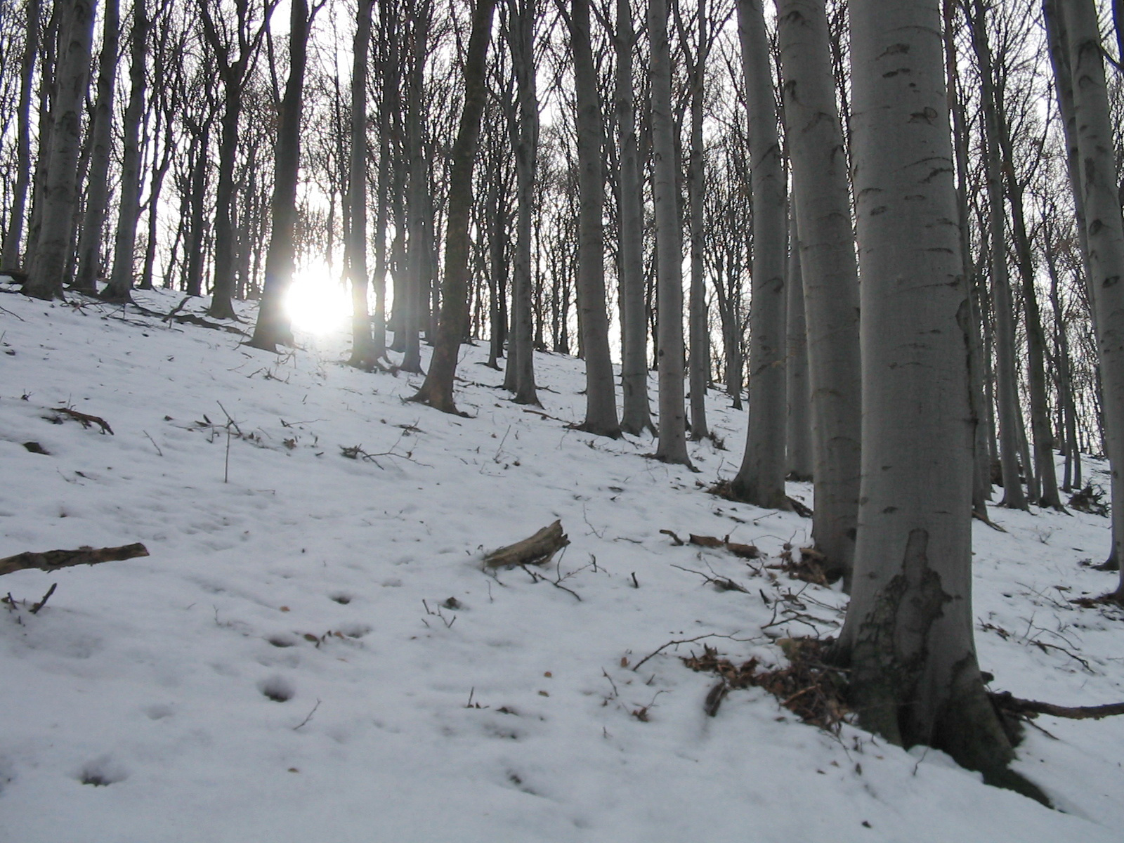 2011 12 30 Zengő túra 018