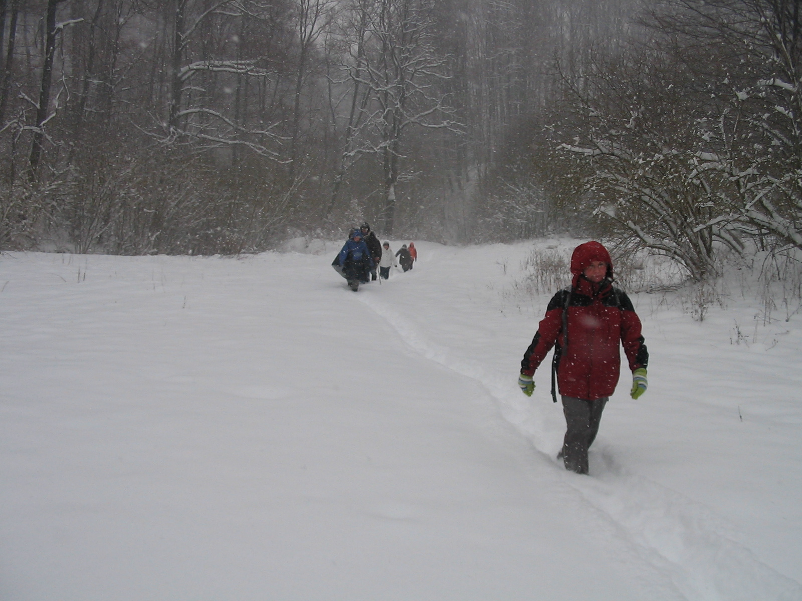 2012 02 04 Komló-Somogy 014