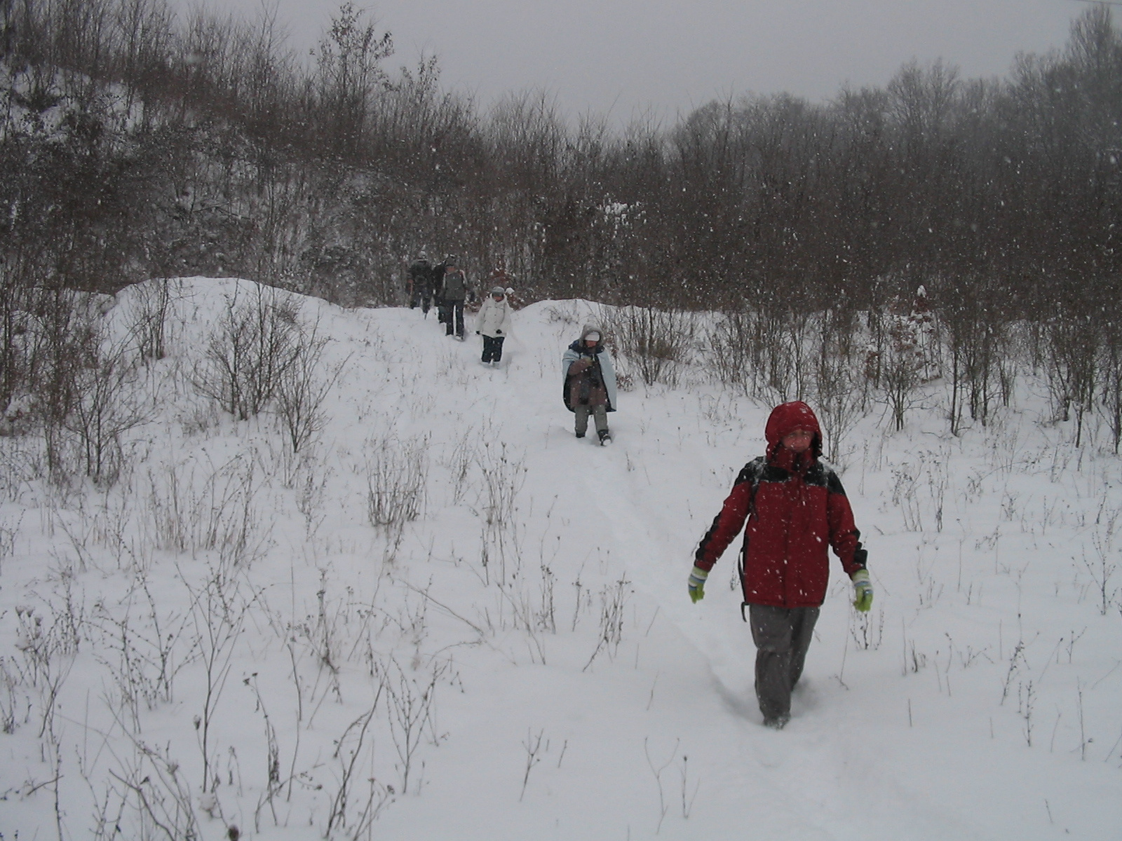 2012 02 04 Komló-Somogy 017