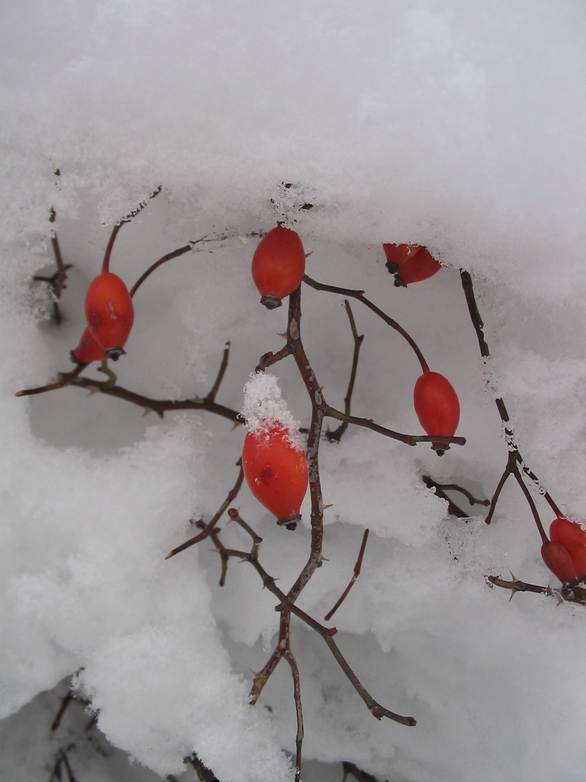 2012 02 12 nyílt túra bejárás 006