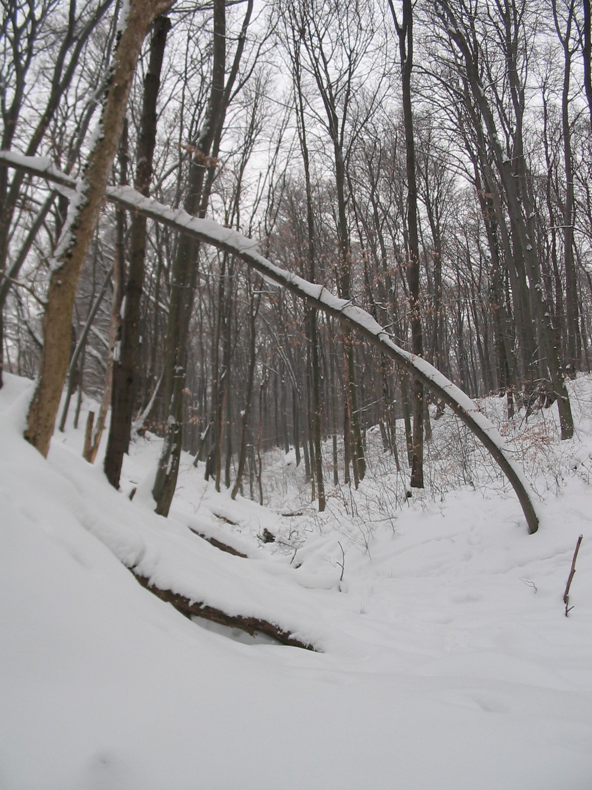 2012 02 12 nyílt túra bejárás 012