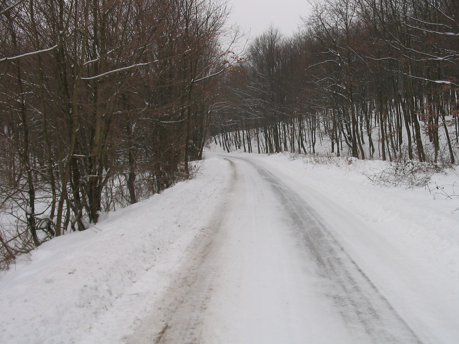 2012 02 12 nyílt túra bejárás 032