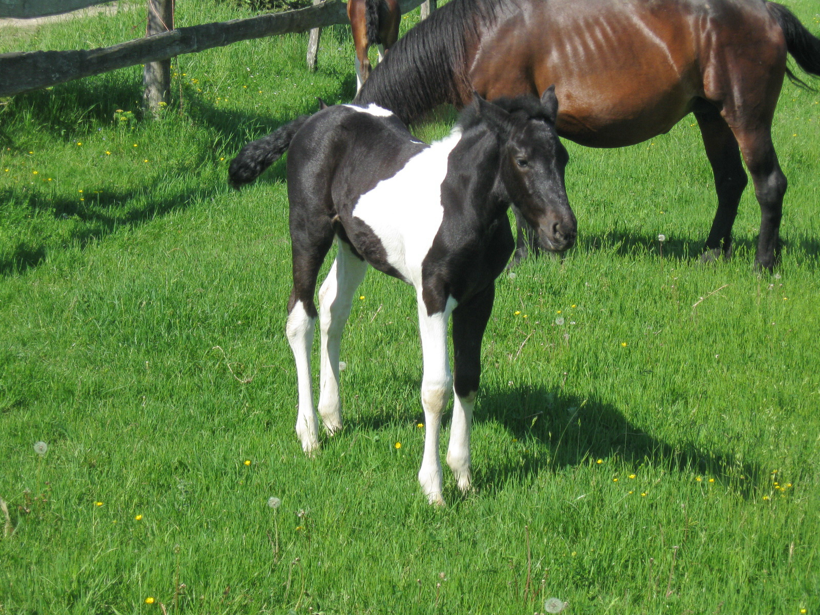 2012 05 12 Bm középtávú 003