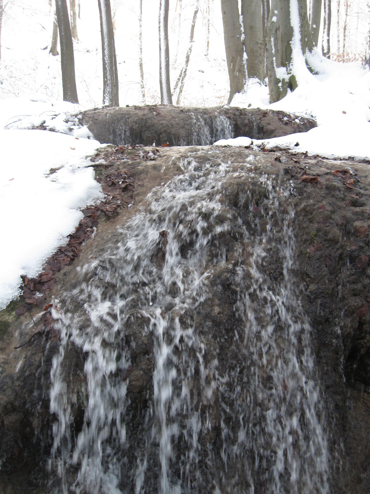 2013 01 19 árpádtető-állatkert 027