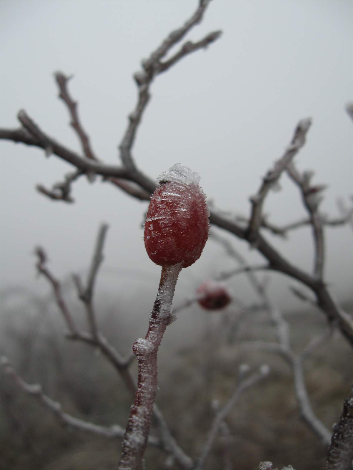 2013 01 24 Hetvehely-Kishajmás 064