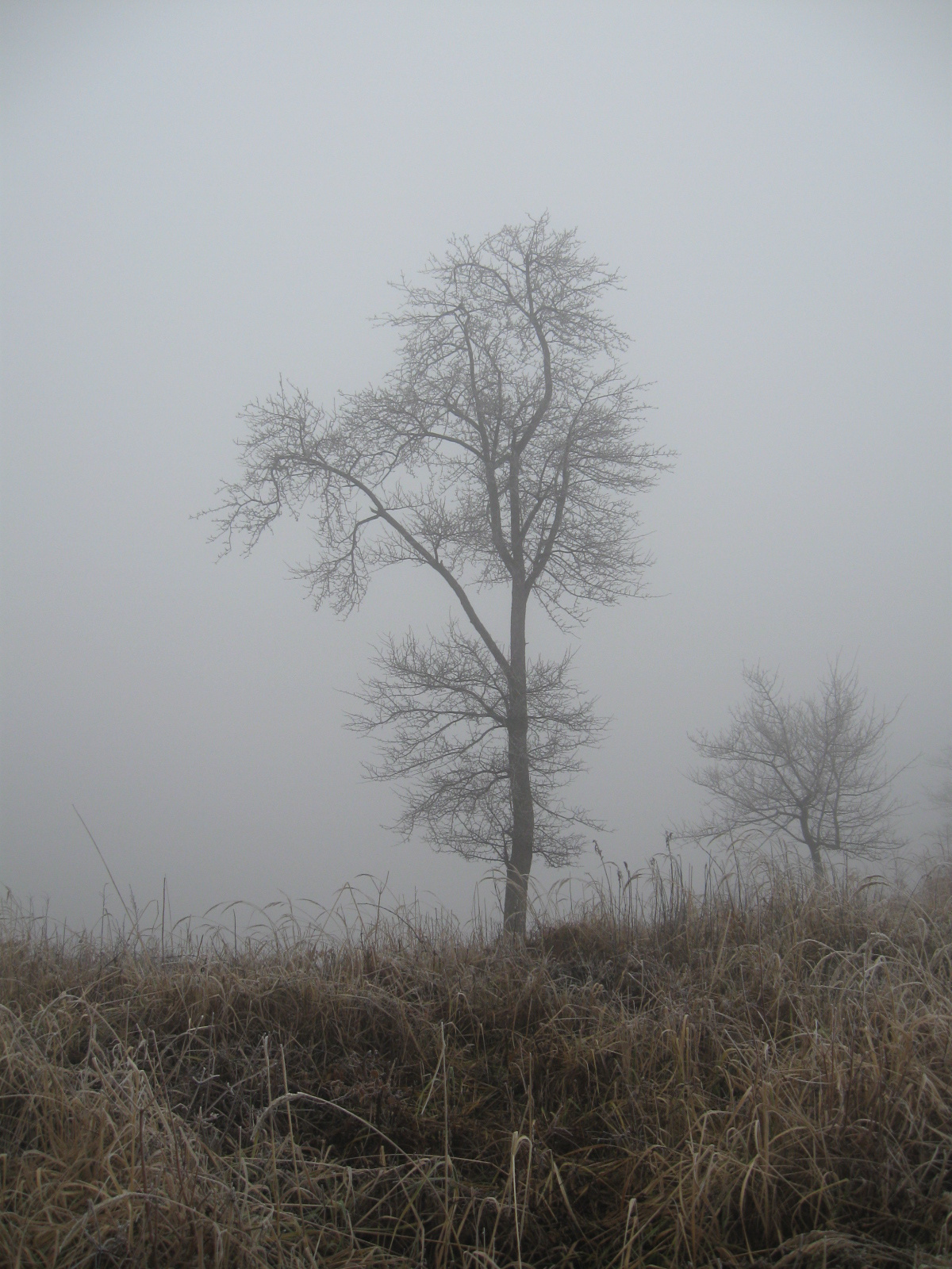 2013 01 24 Hetvehely-Kishajmás 069