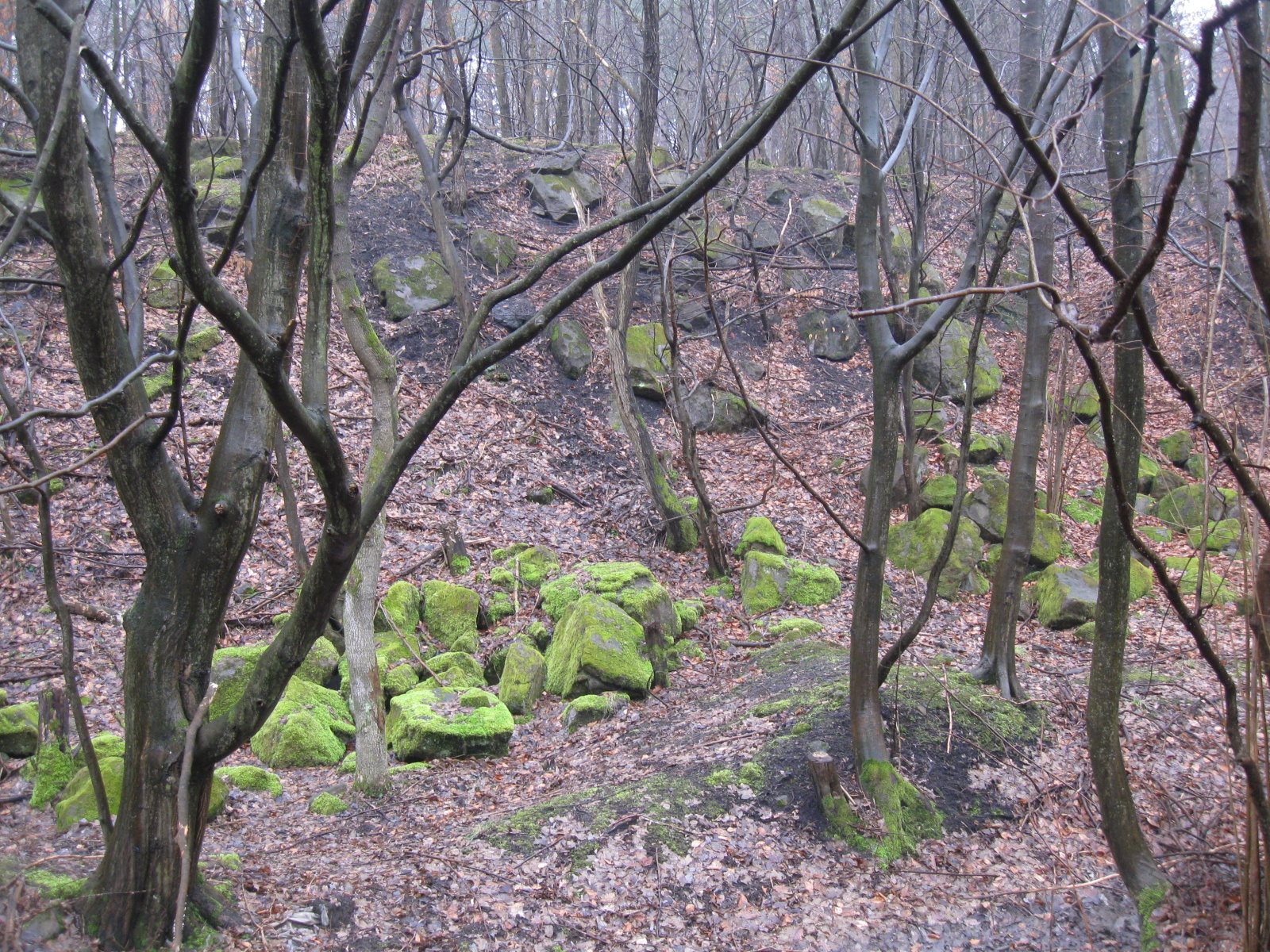 2013 02 02 Árpádtető-Somogy 009